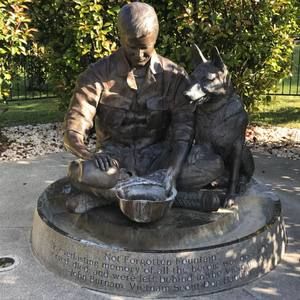 Meet your Posher, Dawn